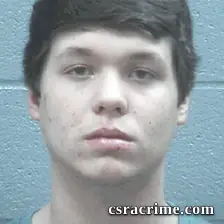Anthony Harkins booking photo