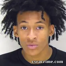 Anthony Mcgee booking photo