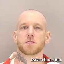 Anthony Paul Gormley booking photo