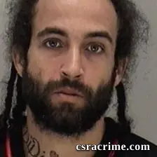 Anthony Ramsey booking photo