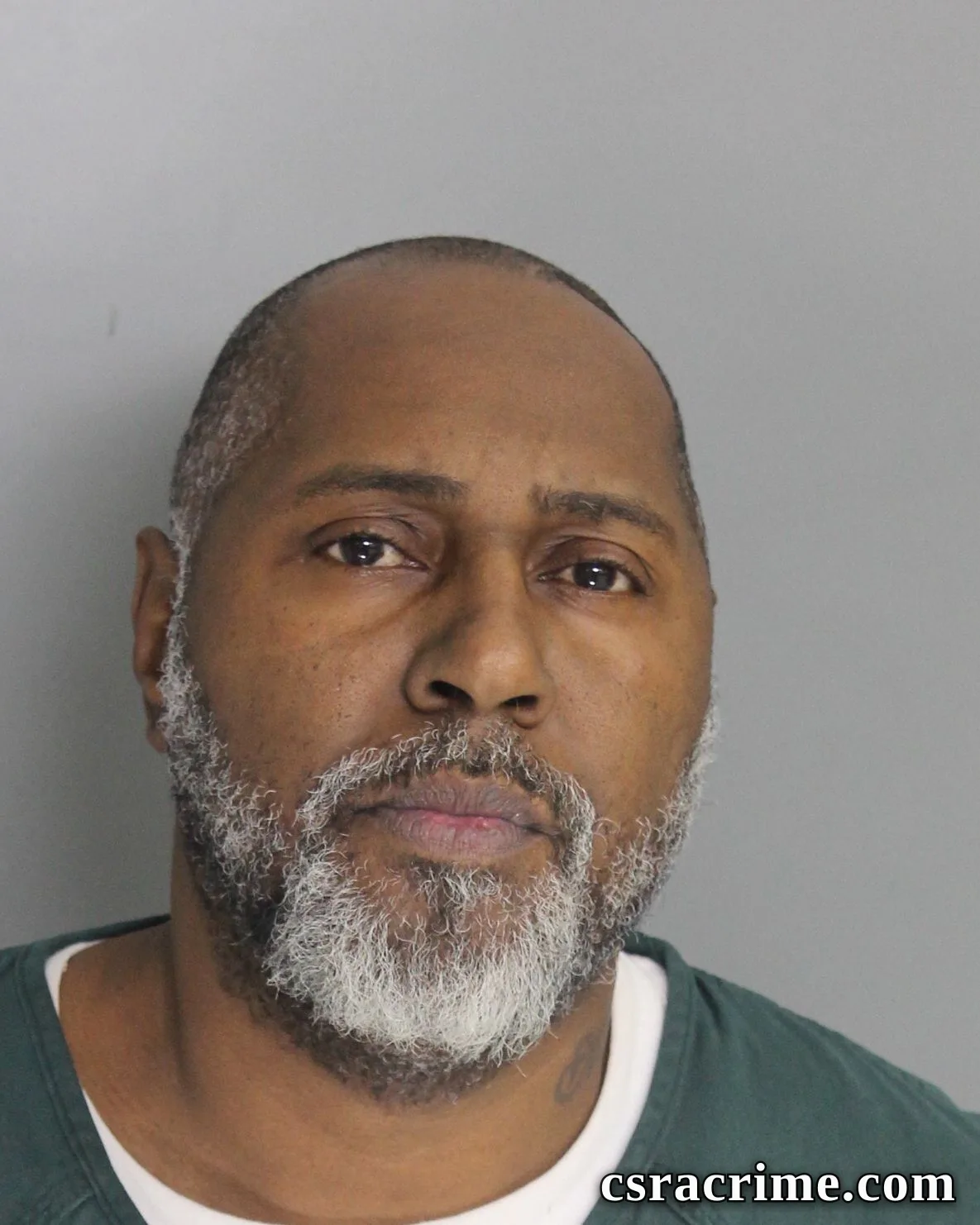Anthony Savage JR booking photo