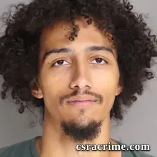 Anthony Stankoff booking photo