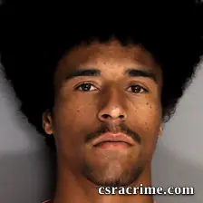 Anthony Wilson booking photo