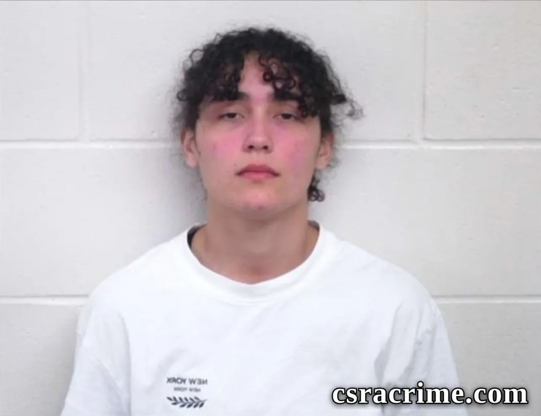Anyela Maile Contreras Torres booking photo