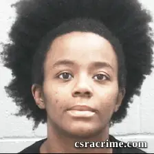 April Elam booking photo