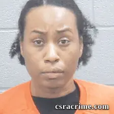 April Manning booking photo