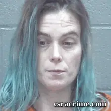 April Phillips booking photo