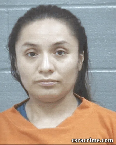 Areli Martinez booking photo