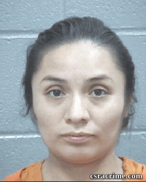 Areli Martinez booking photo