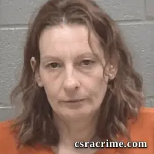 Aretha Noralee Wheeler booking photo