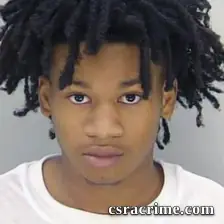 Ari Mason booking photo