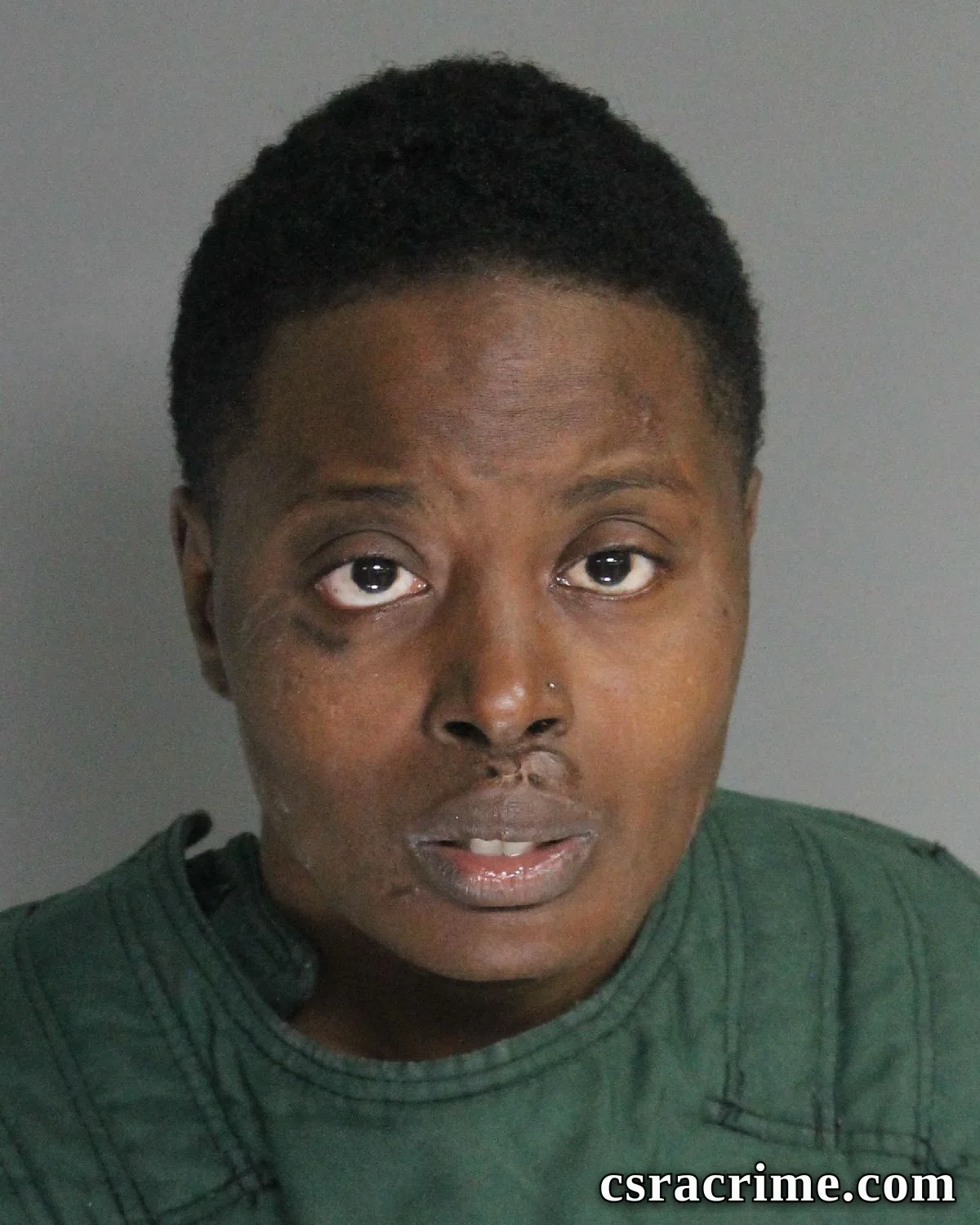 Arlene Frazier booking photo