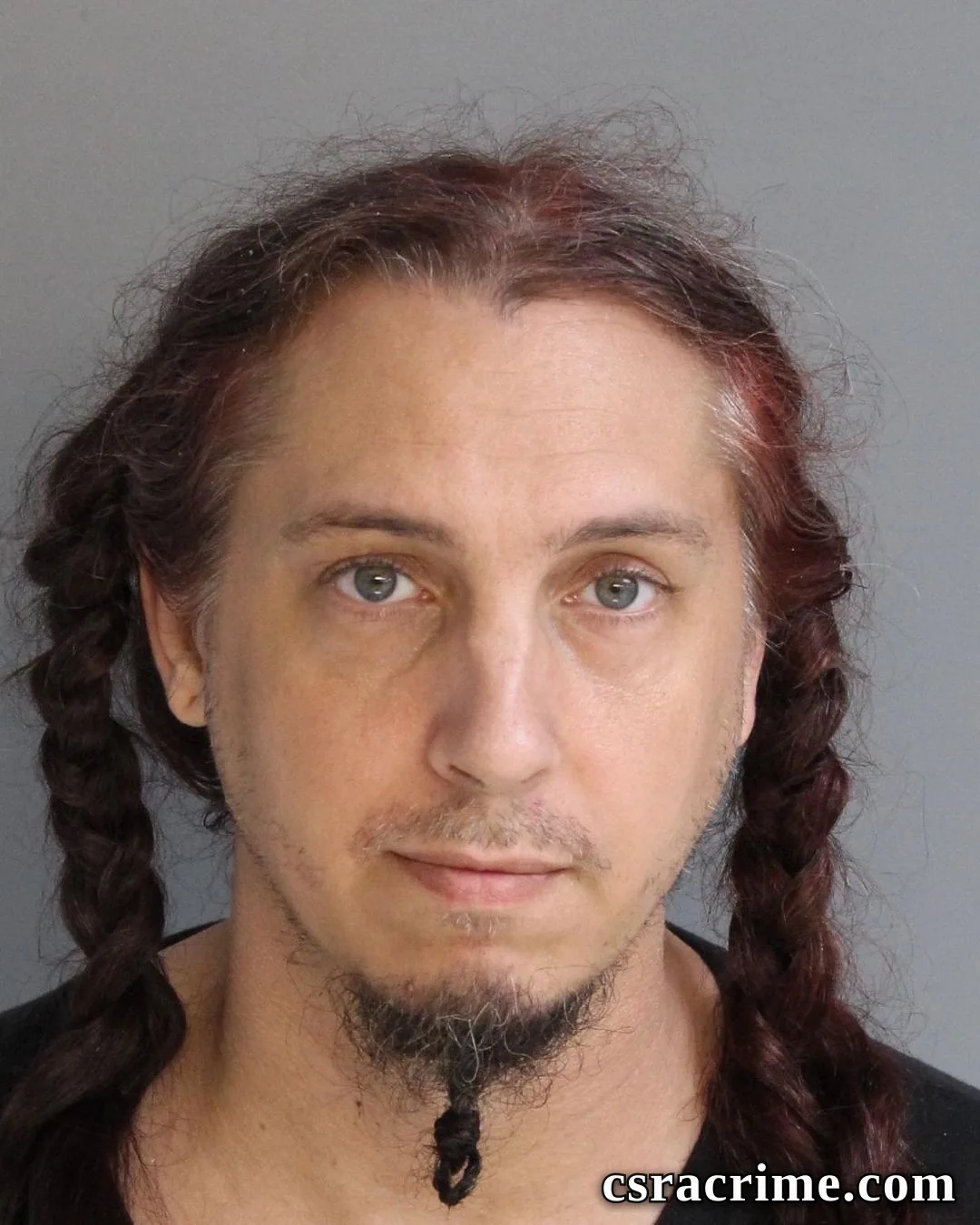 Aron Salmeri booking photo
