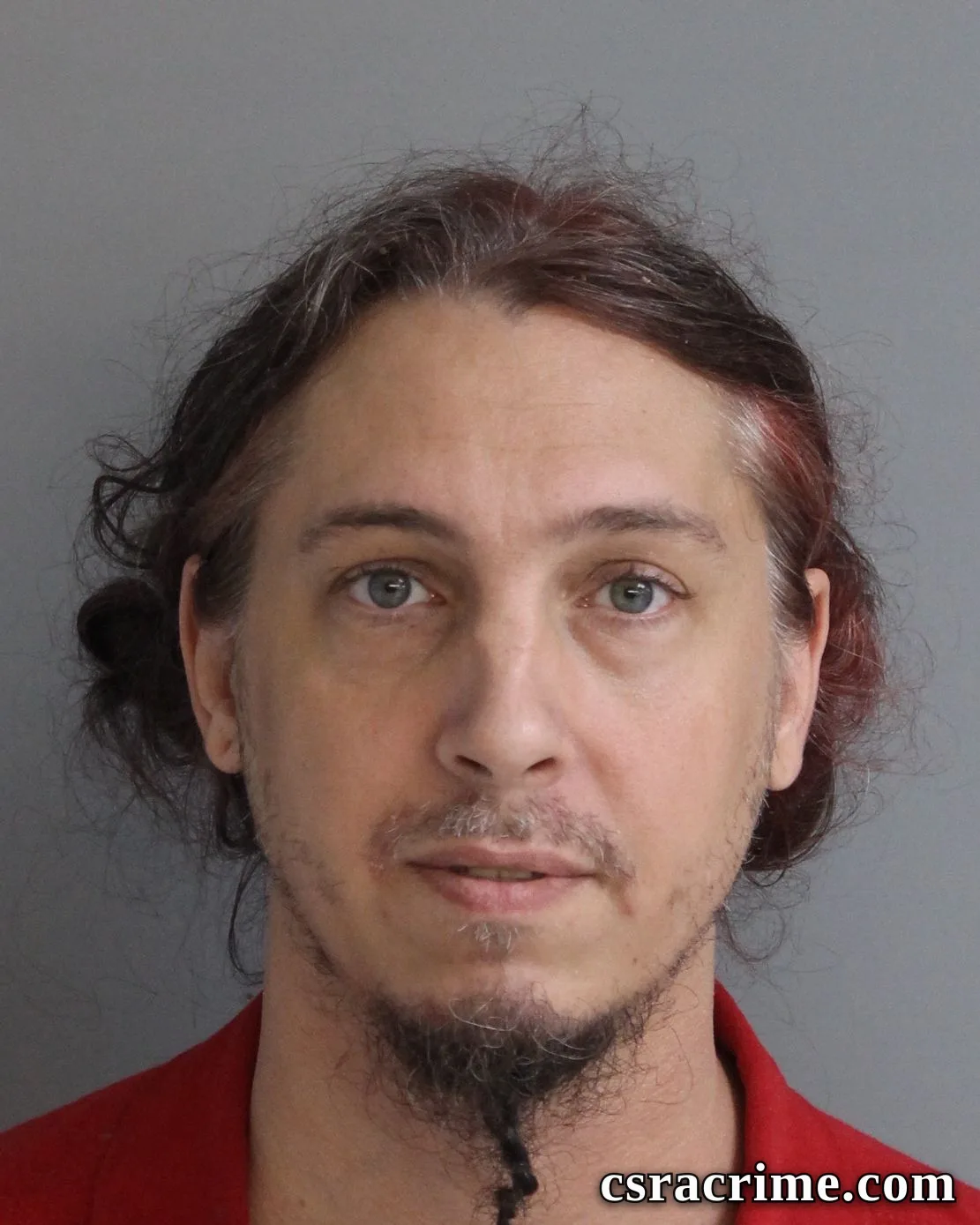 Aron Salmeri booking photo