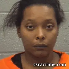 Ashlee Ketterer booking photo