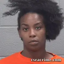 Ashleigh Jnai Dionne Scudder booking photo