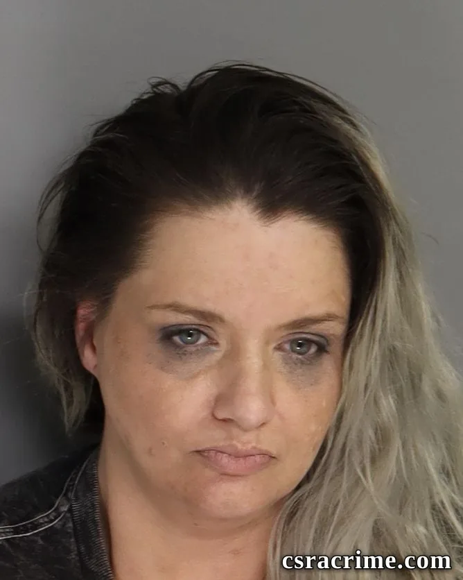 Ashley Addington booking photo