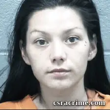 Ashley Anderson booking photo