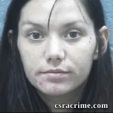 Ashley Anderson booking photo