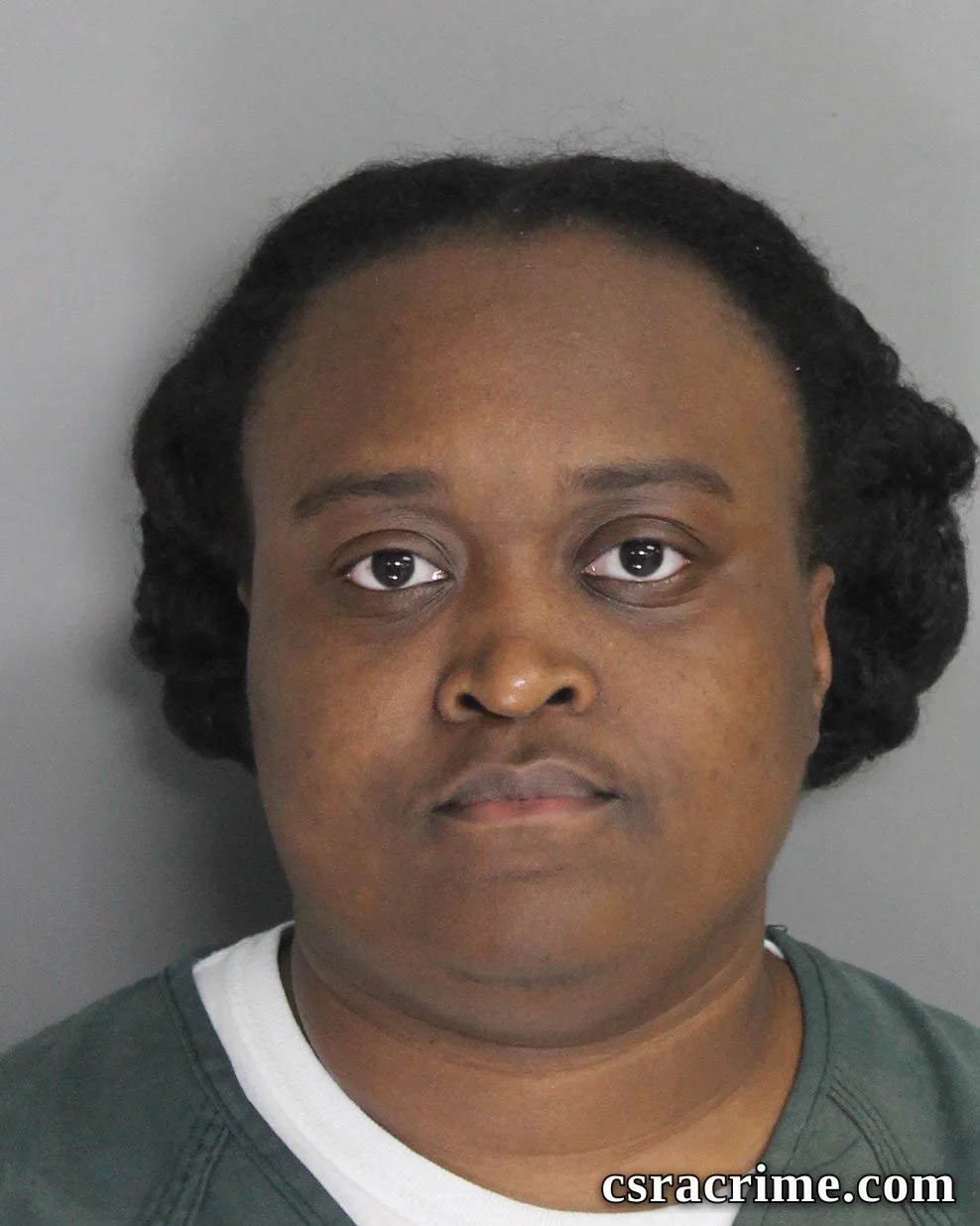 Ashley Bryant booking photo