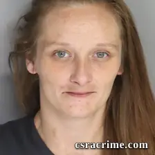 Ashley Chaples booking photo