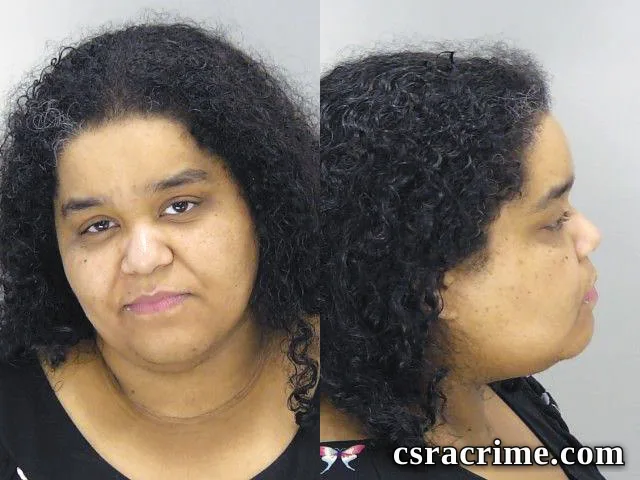 Ashley Cheeks booking photo