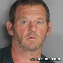 Ashley Dallis booking photo