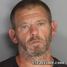 Ashley Dallis booking photo