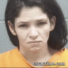 Ashley Furlong booking photo