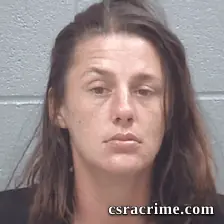 Ashley Gershman booking photo