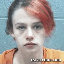 Ashley Hall booking photo