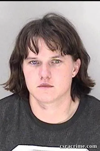 Ashley Johnson booking photo