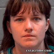 Ashley Johnson booking photo