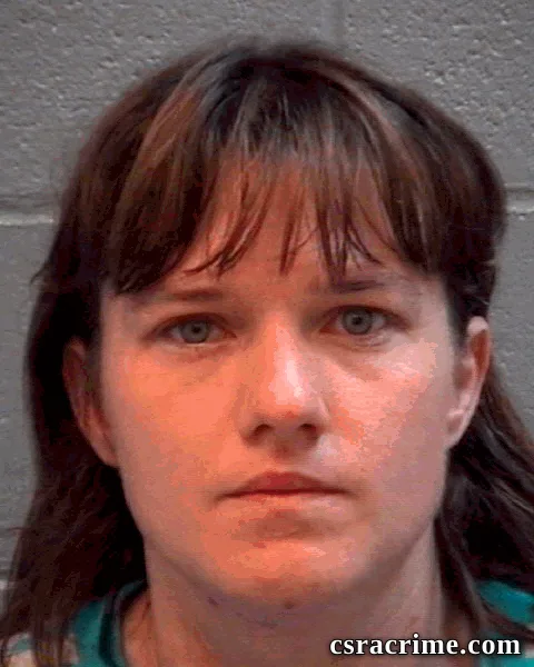 Ashley Johnson booking photo