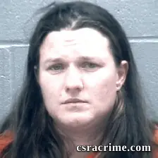 Ashley Johnson booking photo