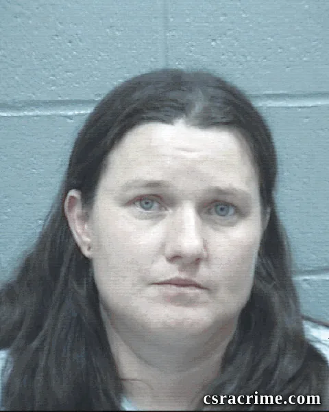 Ashley Johnson booking photo
