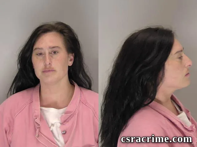 Ashley Kitchens booking photo