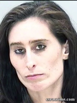 Ashley Kitchens booking photo