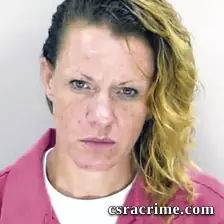 Ashley Korczak booking photo