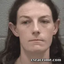 Ashley Marie Meyer booking photo