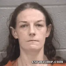 Ashley Marie Meyer booking photo