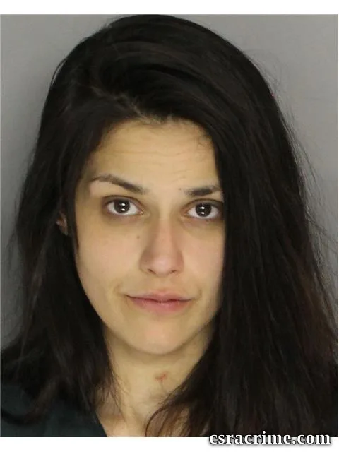 Ashley Meyer booking photo