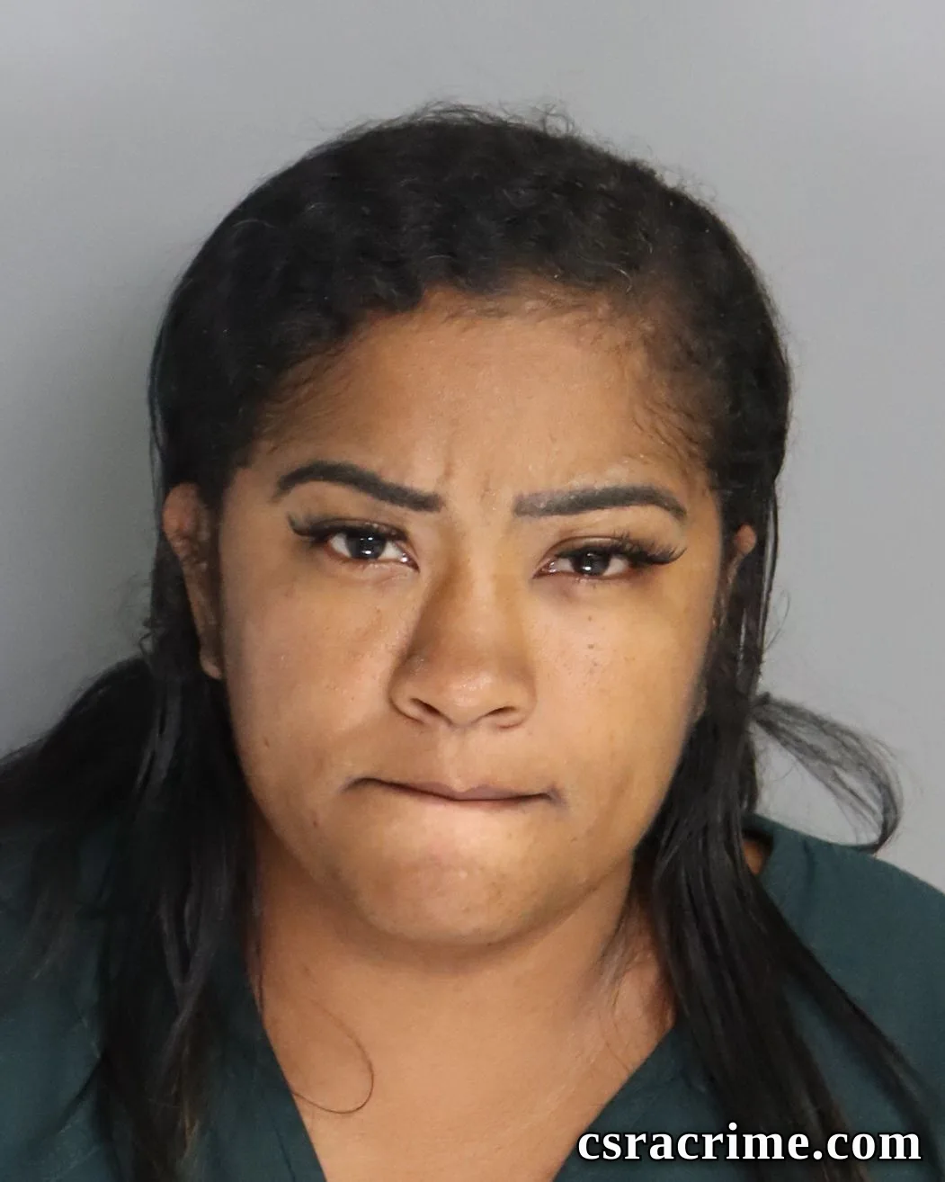Ashley Montes booking photo