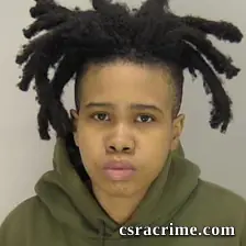 Ashley Nelsonbass booking photo