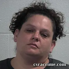 Ashley Nicole Brookshire booking photo