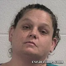 Ashley Nicole Brookshire booking photo