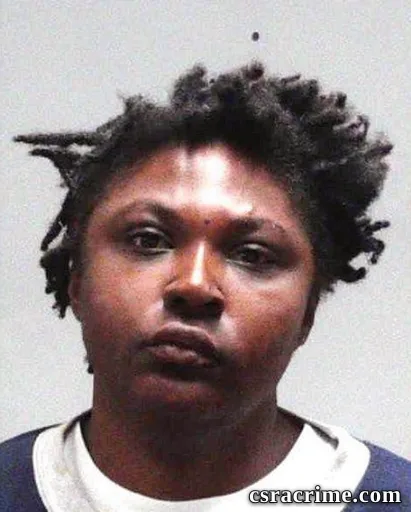 Ashley Nicole Haynes booking photo