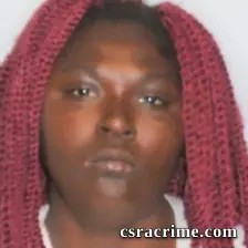 Ashley Nicole Haynes booking photo