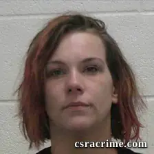 Ashley Nicole Spinks booking photo
