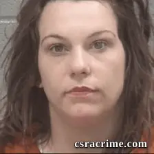 Ashley Nicole Spinks booking photo